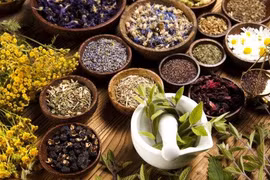 Bài thuốc điều trị tiểu ra máu