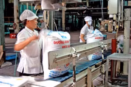 Kiến nghị đấu giá hạn ngạch thuế nhập khẩu đường với 70% đường thô