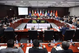Trong tháng 6/2019 ban hành danh mục 300 mặt hàng giảm thuế theo CPTPP