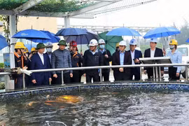 Đánh giá kết quả khắc phục các vi phạm của Formosa Hà Tĩnh