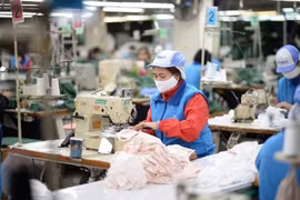  Thiếu bảo hiểm trọn gói cho doanh nghiệp phòng dịch