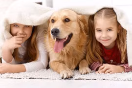 Chó, mèo lây bệnh cho con người
