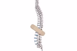 Tránh tổn thương lưng và gãy cột sống trong sinh hoạt