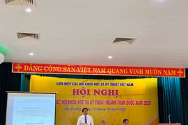 Liên hiệp Hội Việt Nam tổng kết hoạt động của các hội ngành