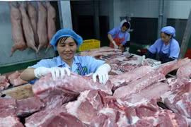 Không nên ảo tưởng có thể hạ giá thịt lợn