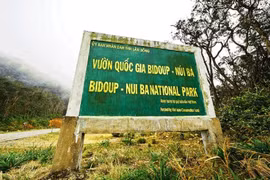 Địa phận Vườn Quốc gia Bidoup – Núi Bà, huyện Lạc Dương (Lâm Đồng).