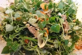 Các loại rau giúp bài sỏi 