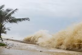 Cơ chế của bão và áp thấp nhiệt đới