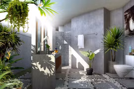 Cây xanh giúp giải phóng khí độc từ nhựa    