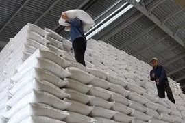 Đã nhập kho 83,5% lượng gạo dự trữ