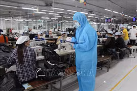 Nhiều doanh nghiệp được hỗ trợ liên quan đến chính sách BHXH