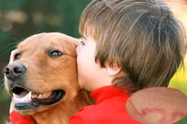 Tràn dịch màng phổi do giun đũa chó 