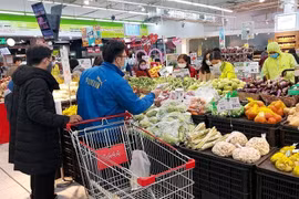 Nguyên liệu bão giá, CPI 5 tháng vẫn thấp nhất 5 năm
