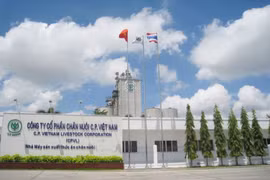 C.P. Việt Nam muốn lên sàn HoSE