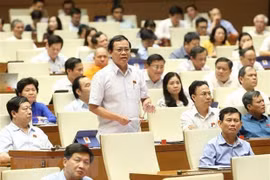 Quốc hội biểu quyết ba luật và thảo luận về hai dự án luật