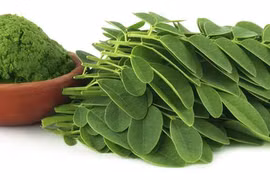 Chùm ngây giàu dinh dưỡng và dược tính