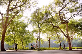 Nồng nàn Thu Hà Nội