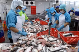 Xuất khẩu cá tra phục hồi