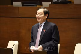 Bộ trưởng Nội vụ: Hồ sơ đẹp, bổ nhiệm rồi mới phát hiện khai gian lý lịch
