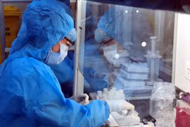 Phát hiện biến thể mới virus SARS-CoV-2 tại Việt Nam