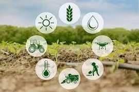 Cơ sở dữ liệu - trọng tâm của nền nông nghiệp 4.0