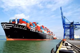 Cước container tăng cao, hãng ngoại hưởng lợi trên hàng hóa Việt