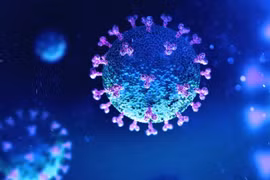 Văcxin Novavax có khả năng chống lại các biến thể mới của coronavirus
