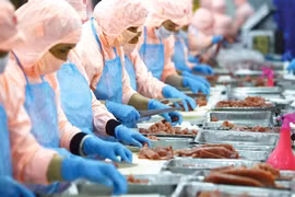 VASEP đề xuất giảm 30% tiền điện cho doanh nghiệp thuỷ sản