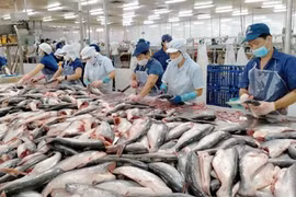 Xuất khẩu thủy sản tăng trưởng tốt