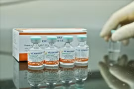 Rút ngắn một nửa thời gian nghiên cứu vaccine Nano Covax