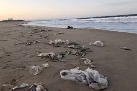 Rác thải tại bãi biển thuộc phường 6, thành phố Tuy Hòa, Phú Yên tháng 10/2019. (Ảnh: Phạm Cường/TTXVN)