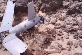 Ả rập Xê út dừng toàn bộ các hoạt động quân sự ở Yemen