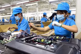 Chỉ 3% doanh nghiệp hoạt động ở quy mô vừa và lớn