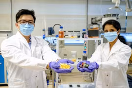 Vỏ trái cây giúp tái chế pin lithium