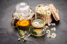 Hoa cúc nâng cao thể lực, mát gan, sáng mắt
