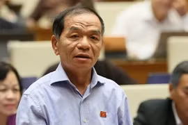  Đại biểu QH: Tính chuyên nghiệp mới quan trọng 