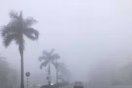 Phân biệt mù và sương mù
