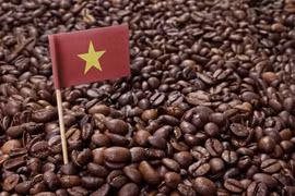 Xuất khẩu cà phê Việt Nam giảm nhẹ do ảnh hưởng Covid-19