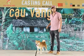 Nhà sản xuất lên tiếng khi bị phản đối việc chọn chó Nhật đóng phim “Cậu Vàng”