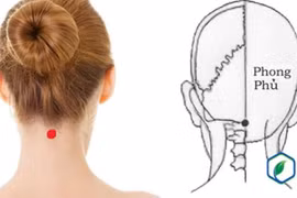  Bấm huyệt để tăng trí nhớ
