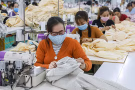 Hơn 42.000 công nhân ở TP HCM bị mất việc