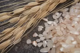  Cơ chế của pin sạc từ vỏ trấu
