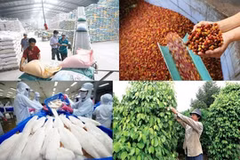 Nông, lâm, thủy sản xuất siêu 7,9 tỷ USD trong 10 tháng qua