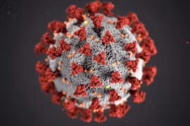 Mỹ xây dựng mô hình mô phỏng phân tử virus SARS-CoV-2