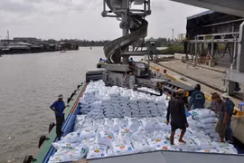 Việt Nam nhập 3,8 triệu tấn phân bón trong năm 2020