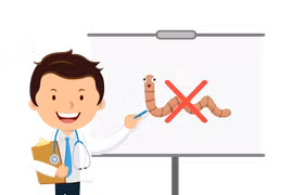Bao lâu nên tẩy giun một lần?
