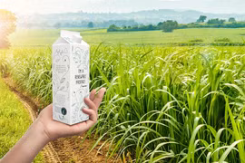 4 kịch bản cho tương lai ngành sữa