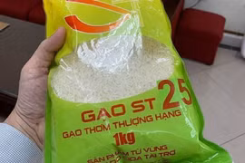 Đặc cách công nhận giống lúa thơm ST25