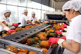 10 tháng, xuất khẩu nông, lâm, thủy sản đạt hơn 33 tỷ USD