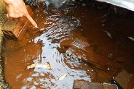 Xử lý nước bị nhiễm amoni